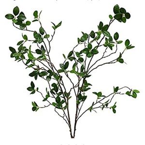 Htmeing eucalyptus branches x2